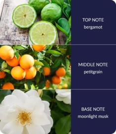 Starry Night Heart & Home® Ellipse geurkaars 220 g