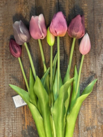 Tulpen Real Toch Classic Pink Mix 7 stelen 43cm