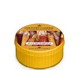 Autumn Harvest Country Candle  Daylight
