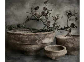 Schilderpaneel Potten & Tak 45×55 cm – Sobere Landelijke Wanddecoratie