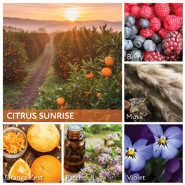 Citrus Sunrise geurkaars Cheerful Candle 2 lonten 680 gram