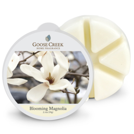 Blooming Magnolia Goose Creek Waxmelt