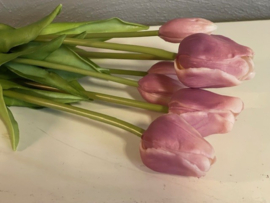 Tulpen Real Toch Classic Mauve 7 stelen 44cm