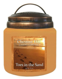 Toes in the Sand Chestnut Hill 2 wick Candle 450 Gr