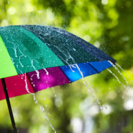 Classic Candle Rain Reed Diffuser | Geurstokjes 100ml