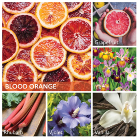 Blood Orange geurkaars Cheerful Candle 2 lonten 680 gram