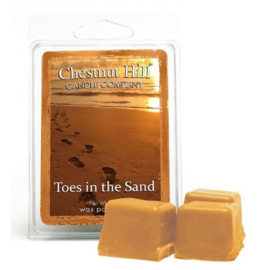 Chestnut Hill Candles Soja Wax Melt  Toes In the Sand