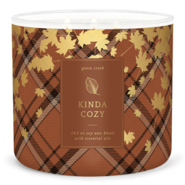 Kinda Cozy Goose Creek Candle® 3 Wick 411 gram