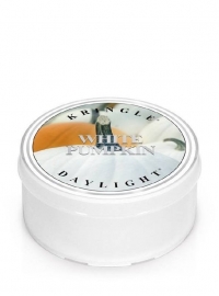 White Pumpkin Kringle Candle  Daylight