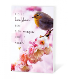 Wenskaart met zakje bloemzaden incl envelop