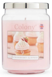 Strawberry Surprise  Colony Large Jar Candle  100 branduren