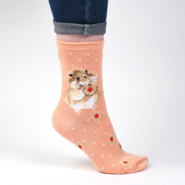 Wrendale Designs Socks  'Diet Starts Tomorrow'  Hamster