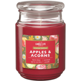 Apples & Acorns Candle-lite Everyday 510 g