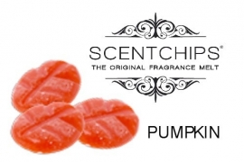 Scentchips Pumpkin