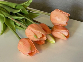 Tulpen Real Toch Soft Peach 7 stelen 43cm