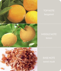 Guardian Angel  Heart & Home® Ellipse geurkaars 220 g