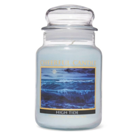 High Tide Cheerful Candle 2 wick 680 gr