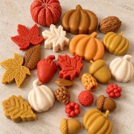 Autum Harvest venster cadeaubox waxmelts Golden Amber Cozy Cottage 130 gram