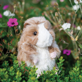 Wrendale Designs Cavia Daphne 