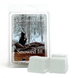 Snowed In Chestnut Hill Candles Soja Wax Melt