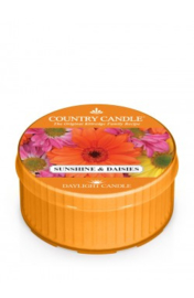  Sunshine & Daisies Country Candle  Daylight