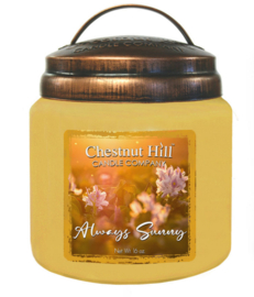 Always Sunny Chestnut Hill 2 wick Candle 450 Gr