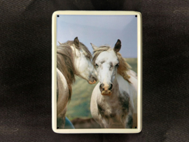 Twee schimmels  Vintage Muurbordje metaal