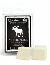 At te Mall Chestnut Hill Candles Soja Wax Melt