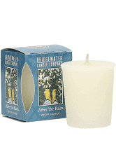 Bridgewater Candle Company Votive Geurkaars