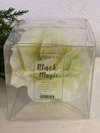 Smellies Geurbloem  16 cm Black Magic