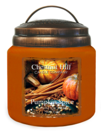 Pumpkin Spice Chestnut Hill  2 wick Candle 450 Gr