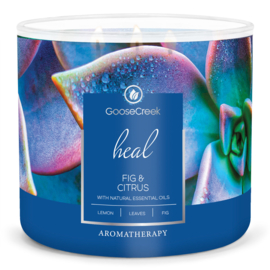 Fig & Citrus Goose Creek Candle® 3 Wick 411 gram