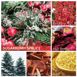 Sugarberry Spruce geurkaars Cheerful Candle 680 g – 2 lonten