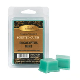 Eucalyptus Mint Crossroads Candle Scented Cubes  56.8 gram