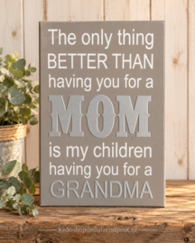 Tekstbord Steigerhout Grijs – The Only Thing Better Than Mom – 30 x 20 cm