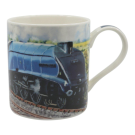 Classic Stoomtrein mok Sir Nigel Gresley