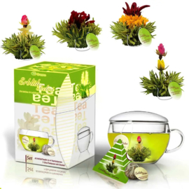 Creano Teelini theeglas & 8 theebloemen groene thee