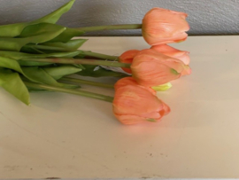 Tulpen Real Toch Soft Peach 7 stelen 43cm