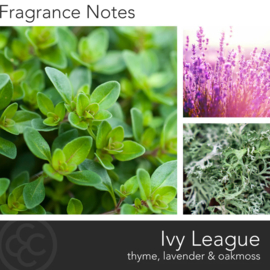 Ivy League Colonial Candle MI Collectie 467 gram