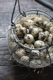 IB Laursen uienmand  eierenmand – draad zink met handvat (35 cm hoog, Ø 22,5 cm)