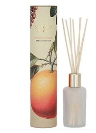 Winter Spice & Orange Ashleigh & Burwood geurstokjes 150 ml