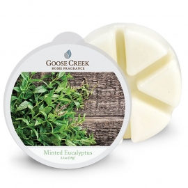 Minted Eucalyptus  Goose Greek Candle Waxmelt