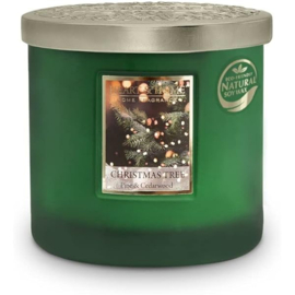 Christmas Tree  Soywax 2 wick Candle  230 gram Heart & Home