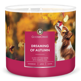 Dreaming Of Autumn Goose Creek Candle® 411 gram