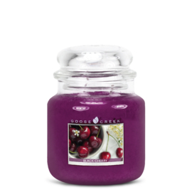 Goose Creek Candle  Medium Jar 16 oz