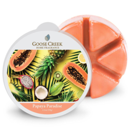 Papaya Paradise Goose Creek 1 Waxmelt blokje