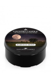 Harvest Moon Country Candle   Daylight