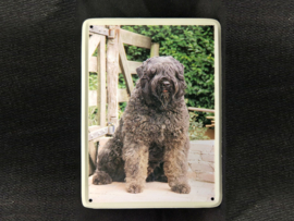 Bouvier des Flandres Vintage Muurbordje