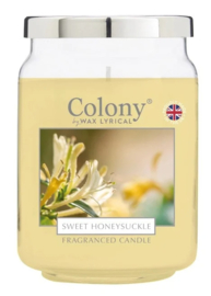 Colony Geurkaars Large Sweet Honeysuckle – 100 uur