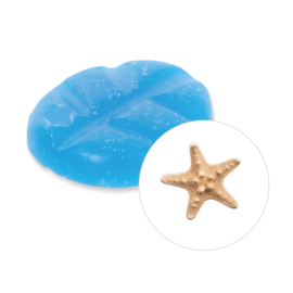 Scentchips® Ocean